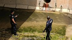 Secretaria da Segurança Pública de SP ainda não se manifestou sobre a descoberta de restos humanos na região - Imagem: Reprodução/Metrópoles