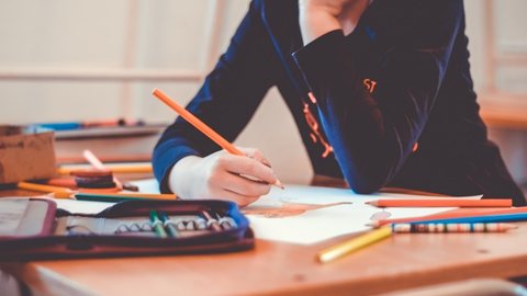Com apenas 37,9% de alunos alfabetizados, São Paulo enfrenta um desafio educacional que exige ação imediata - Imagem: Reprodução/Pixabay