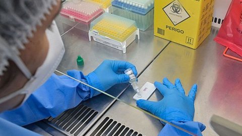 Dados mostram aumento de casos de hantavirose em Minas Gerais, com quatro confirmações e dois óbitos em 2025 - Imagem: Reprodução/ Rudson Amorim