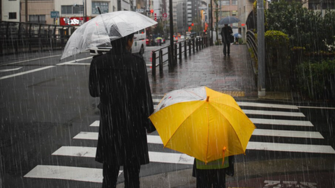 SP: chuva forte coloca cidade em estado de atenção - Imagem: reprodução freepik