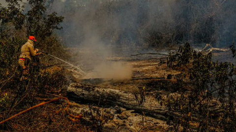 Incêndios no Pantanal atingem Transpantaneira, principal rota de acesso ao bioma em MT. - Imagem: reprodução Twitter@ocafezinho