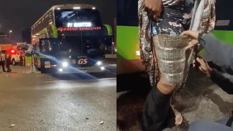 Mulher também estava com pistola calibre 9 milímetros. - Imagem: Divulgação/Polícia Militar.