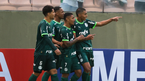Novorizontino x Palmeiras: confira  horário e onde assistir ao jogo. - Imagem: reprodução Twitter@Palmeiras