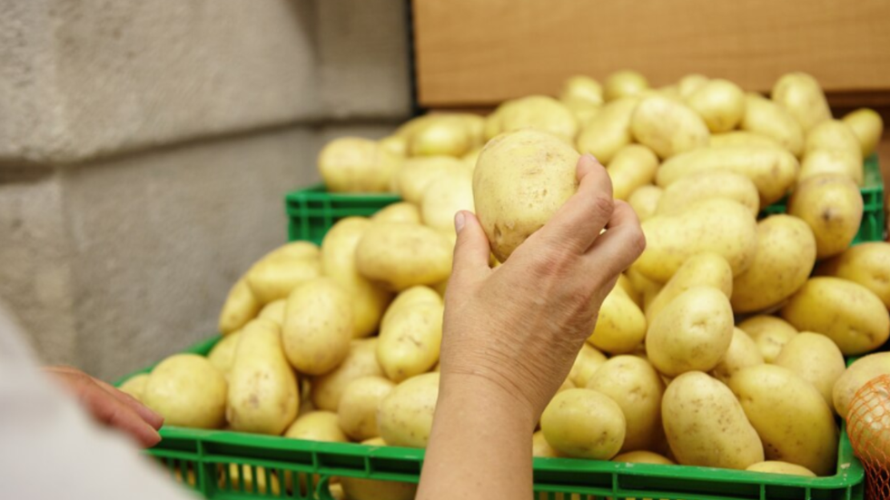 Preço da batata cresce mais de 40% em três meses - Imagem: reprodução /Freepik