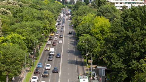 Aniversário de SP: rodízio de veículos é suspenso na cidade - Imagem: reprodução freepik