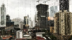 São Paulo: temporal derruba árvores e coloca cidade em estado de alerta. - Imagem: reprodução freepik