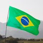 A Opção pela Direita Constitucionalista - Imagem: Reprodução / Freepik