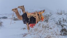 A região de Al-Jawf, conhecida pelo calor extremo, surpreende moradores e visitantes com sua primeira cobertura de neve na história - Imagem: Reprodução | Redes Sociais / Metrópoles