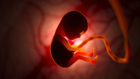 Após suspensão de atendimento para aborto em SP, pacientes procuram atendimento em outros estados - Imagem: Reprodução Pexels