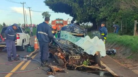 Acidente gravíssimo entre carro e caminhão deixa mortos em rodovia do Paraná - Imagem: reprodução Polícia Civil