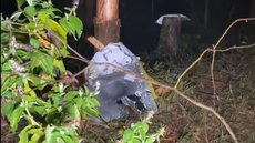 Autoridades foram acionadas e continuam as buscas no local - Imagem: Reprodução / TV Anhanguera