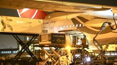 Passageiros têm até 29 de janeiro de 2026 para solicitar a devolução de itens esquecidos no Aeroporto Internacional de São Paulo - Imagem: Reprodução/G1