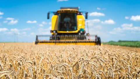 Impulso histórico para o setor agrícola brasileiro em 2024 - Imagem: Reprodução / Freepik