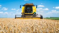 Impulso histórico para o setor agrícola brasileiro em 2024 - Imagem: Reprodução / Freepik
