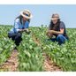 A liderança feminina no agronegócio - Imagem: Reprodução | Freepik