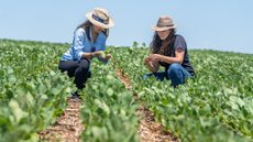A liderança feminina no agronegócio - Imagem: Reprodução | Freepik