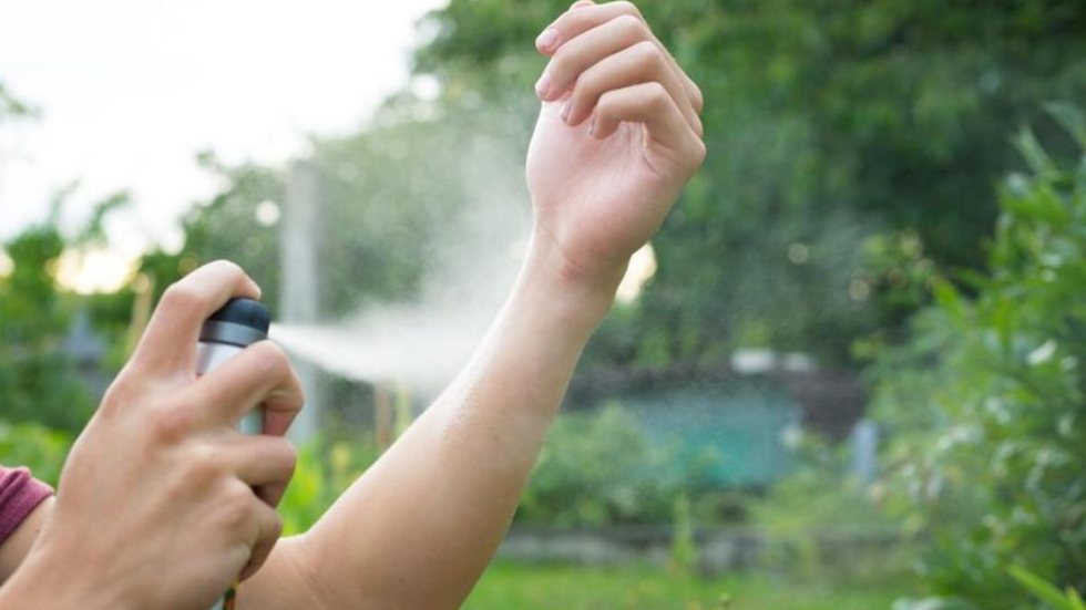 Alta nos casos de dengue é principal motivo - Imagem: Reprodução / Freepik
