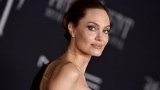 Angelina Jolie criou uma reserva ambiental no Camboja para proteger animais e recuperar áreas afetadas pela caça ilegal. - Imagem: Reprodução