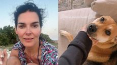 Famosa atriz de Rizzoli & Isles diz que entregador matou seu cão de estimação e choca a web - Imagem: reprodução Instagram