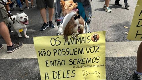 O projeto incluía medidas educativas e multas, mas o governador considera que a competência legislativa é compartilhada entre estados e União - Imagem: Reprodução/VINÍCIUS SCHMIDT/METRÓPOLES