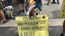 O projeto incluía medidas educativas e multas, mas o governador considera que a competência legislativa é compartilhada entre estados e União - Imagem: Reprodução/VINÍCIUS SCHMIDT/METRÓPOLES