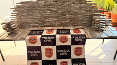 Policiais suspeitam de envolvimento em quadrilha organizada do narcotráfico - Imagem: Divulgação | Polícia Civil de São Paulo