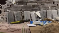 Grande apreensão representa um prejuízo milionário ao crime organizado - Imagem: Divulgação | Polícia Civil