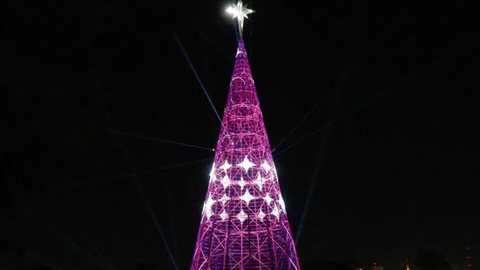 Árvore de Natal do Ibirapuera: saiba horários e como fazer para visitar - Imagem: reprodução Twitter