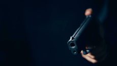 A Polícia Civil investiga o caso, enquanto a mulher, que estava sob tratamento psiquiátrico, permanece sob custódia - Imagem: Reprodução / Pixabay
