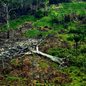 Até quando a crise climática será uma pauta secundária? - Imagem: Reprodução/Fotos Públicas