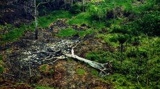 Até quando a crise climática será uma pauta secundária? - Imagem: Reprodução/Fotos Públicas