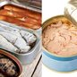 O atum e a sardinha são muito nutritivos e grandes aliados de quem busca emagrecer. - Imagem: Reprodução/Freepik