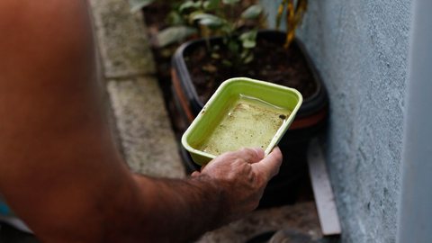 Cidades da região ampliam campanhas para evitar mais contaminações - Imagem: Reprodução / Fernando Frazão / Agência Brasil