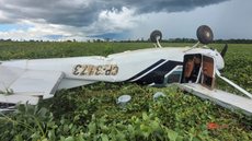 Queda de avião com 450 kg de cocaína revela possível tráfico de drogas no Brasil - Imagem: Reprodução/Polícia Militar