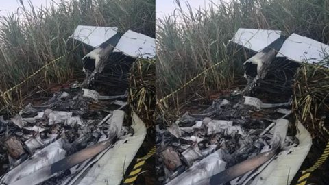 Avião irregular cai em canavial no interior de SP e deixa um morto - Imagem: Divulgação/Polícia Militar
