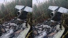 Avião irregular cai em canavial no interior de SP e deixa um morto - Imagem: Divulgação/Polícia Militar