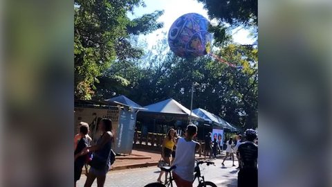 Balão cai dentro do Ibirapuera e assusta visitantes em SP - Imagem: Reprodução / Redes Sociais