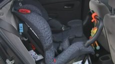 Suspeitos roubam carro e jogam 'bebê conforto' com criança dentro em ciclovia de SP - Imagem: reprodução g1