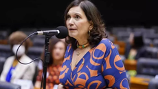 Deputada Bia Kicis comemorou nas redes sociais a aprovação da PEC da redução da maioridade penal na CCJ da Câmara dos Deputados - Imagem: Reprodução