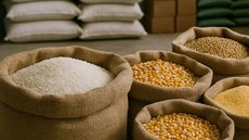 Representantes de 40 países africanos participam de evento no Brasil para conhecer políticas de segurança alimentar - Imagem: Reprodução/IA