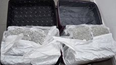 Detenção ocorreu na imigração - Imagem: Divulgação / Polícia Federal