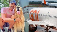 Saiba quais são as condições para viajar com o seu pet de avião - Imagem: reprodução X