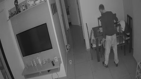 Câmera de segurança flagra momento em que yorkshire late e faz invasor fugir de apartamento na Vila Olímpia. - Imagem: Reprodução