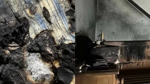 Cachorro causa incêndio após dona reproduzir hábito comum e bombeiros fazem alerta - Imagem: reprodução