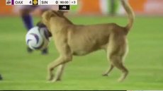 Cachorro invade campo de futebol e dribla jogadores e seguranças - Imagem: Reprodução/X