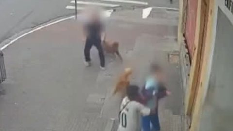 VÍDEO - cachorros salvam mulher de assalto em São Paulo - Imagem: reprodução R7