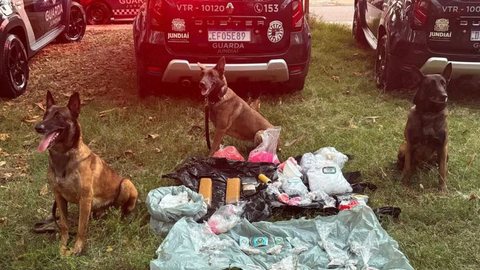 Os cães ajudaram na apreensão de mais de 4 kg de drogas prontas para o tráfico - Imagem: Divulgação / Guarda Municipal de Jundiaí