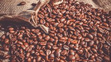 Produção de café no Brasil deve cair 4,4% em 2025 - Imagem: Reprodução / Pixabay