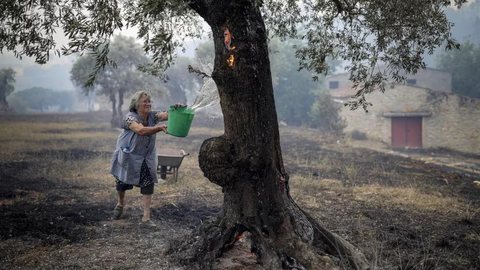 Em Ourém, em Portugal, uma mulher joga água de um balde em chamas em uma árvore, em 13 de julho de 2022 - Imagem: Pedro Rocha | Instagram