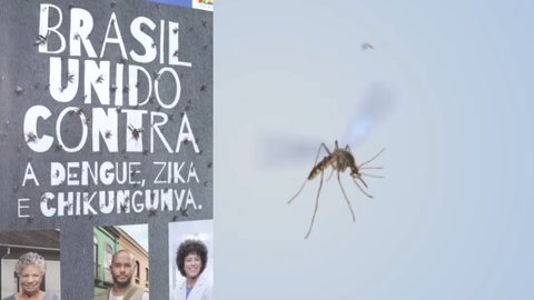O Ministério da Saúde lançou uma campanha nacional de combate à dengue, Zika e chikungunya. - Imagem: reprodução I Instagram @minsaude